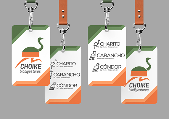 grafica branding